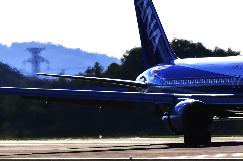 ANA〜もうひとつの空