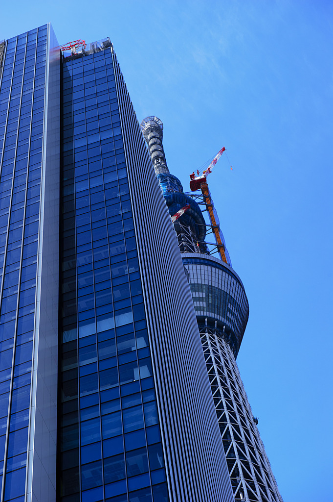 主役の座は渡さない〜やべぇ兄貴怒ってる