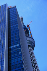 主役の座は渡さない〜やべぇ兄貴怒ってる