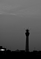 東京スカイツリーのある風景
