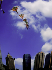 CHINESE KITE in SHANGHAI