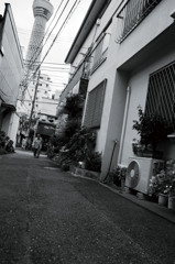 スカイツリー下町情景〜押上