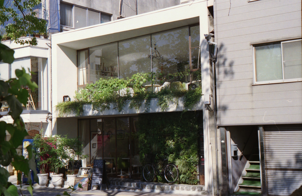フィルムの風