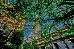 スカイツリーがある風景(HDR)