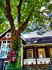 東京のど真ん中と思えない風景