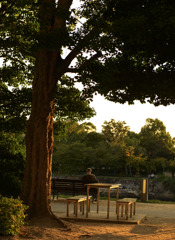 ある晴れた秋の夕暮れ