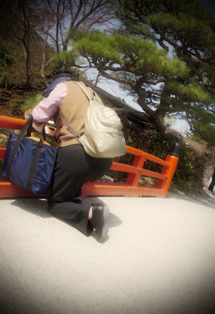 私も女子カメラに遭遇しました