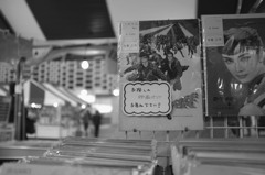 東京天気雨-19