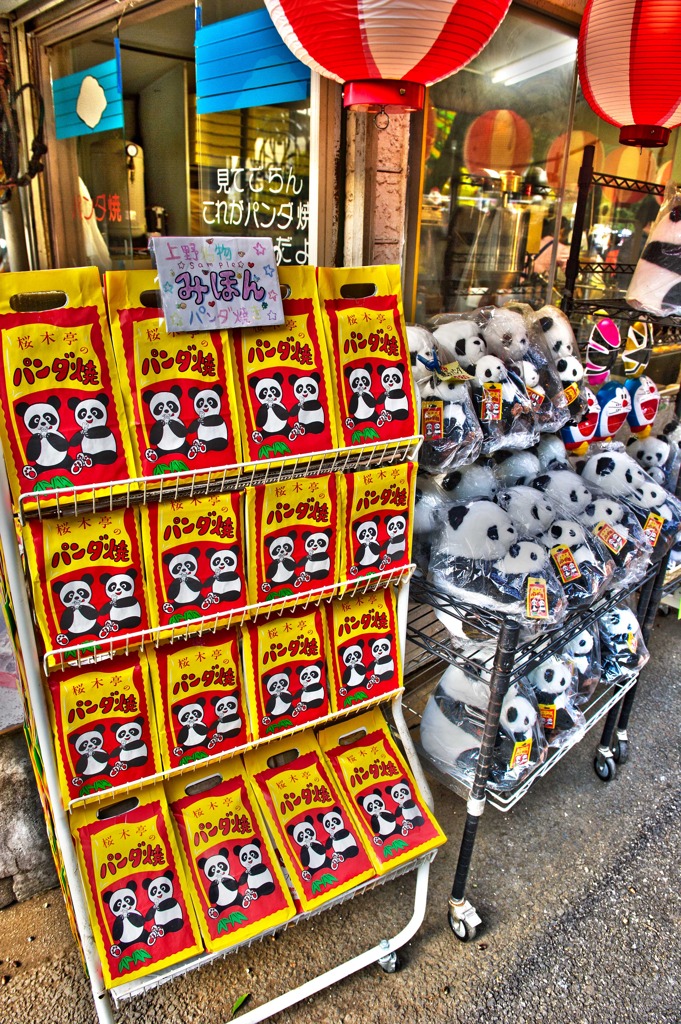 本物はどうなるの？　（HDR)