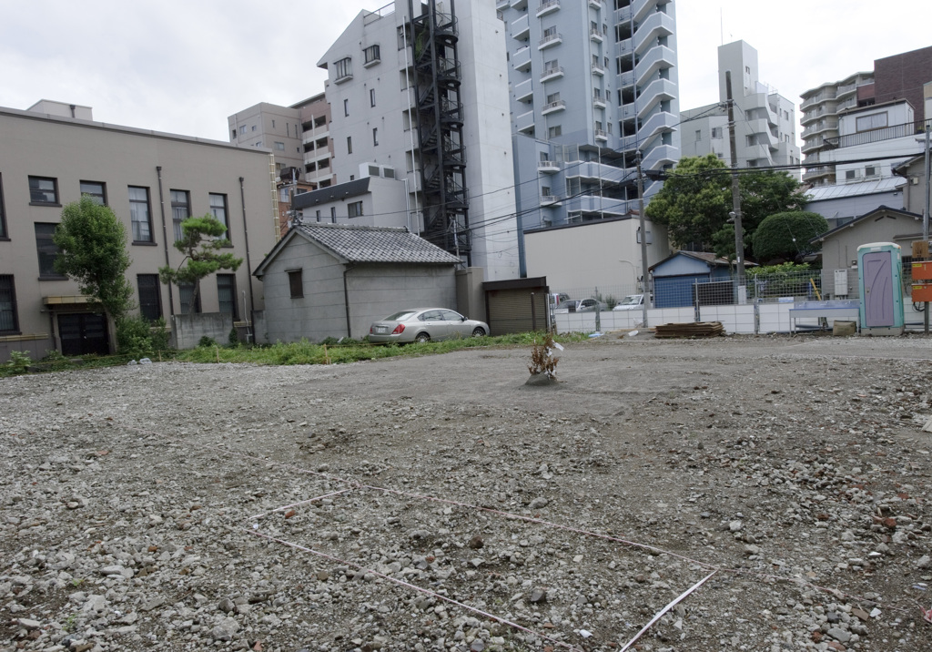 大鵬さんを偲んで