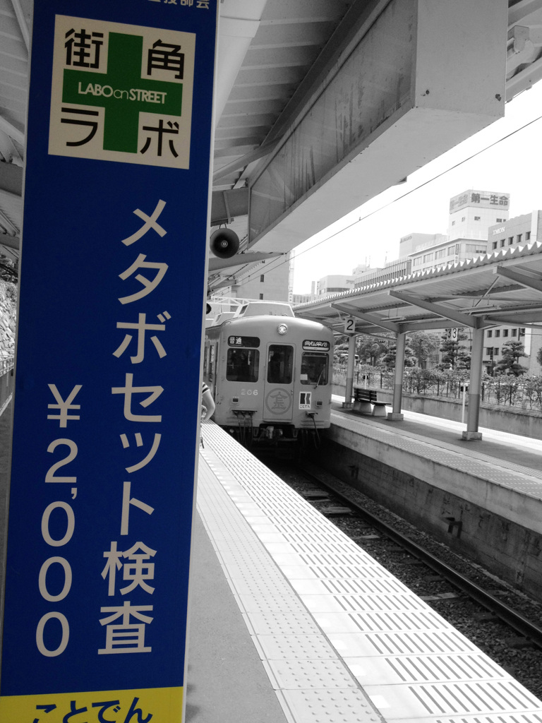この夏あなたもいかがですか？