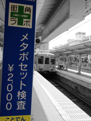 この夏あなたもいかがですか？
