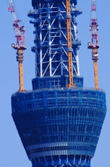 今日のSKYTREE（アップ）