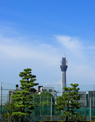 8月28日のスカイツリー