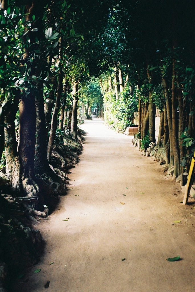 静かな小路