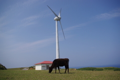 離島の「風」