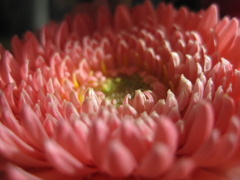 close up