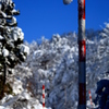 実るほど　頭を垂れる　お雪さん