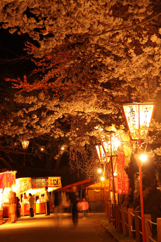 桜星