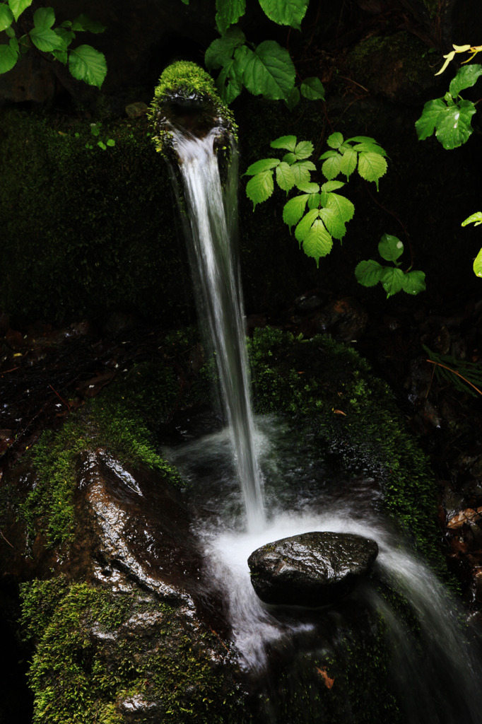 ボツメキ湧水