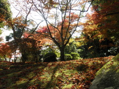 錦帯橋傍の紅葉谷公園