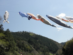 2010_0425_131741-P4250022「空と川を泳ぐ鯉幟」