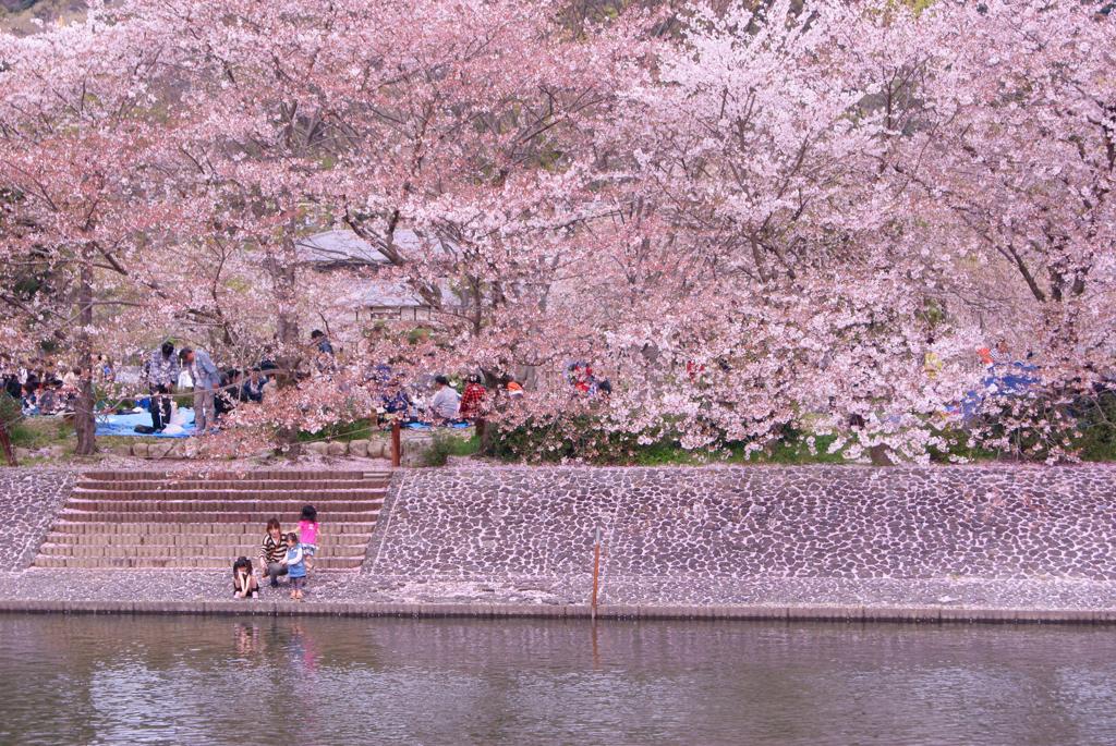 春の日ほのぼの　