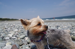 海からの風