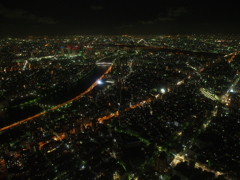 NightView of SKYTREE #1