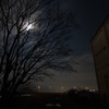 夜の散歩