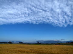 高原山と麦と空