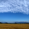 高原山と麦と空