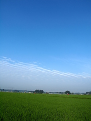 雲のある空