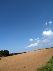 空、畑、時々雲