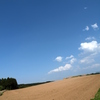 空、畑、時々雲