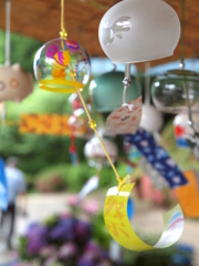 初夏の彩り