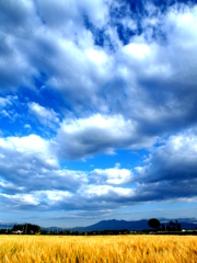 空と雲