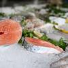 鮮魚店
