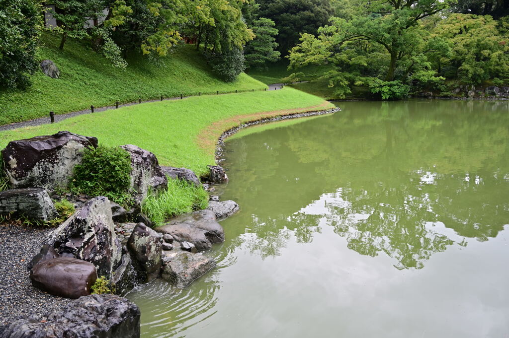 雨の仙洞御所　北池