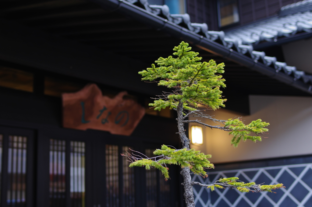 民宿　越前海岸