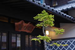 民宿　越前海岸