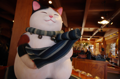 主人猫