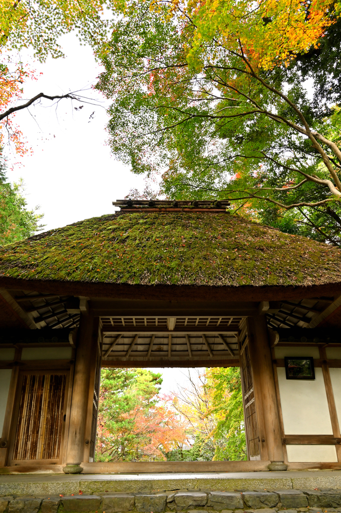 法然院　山門