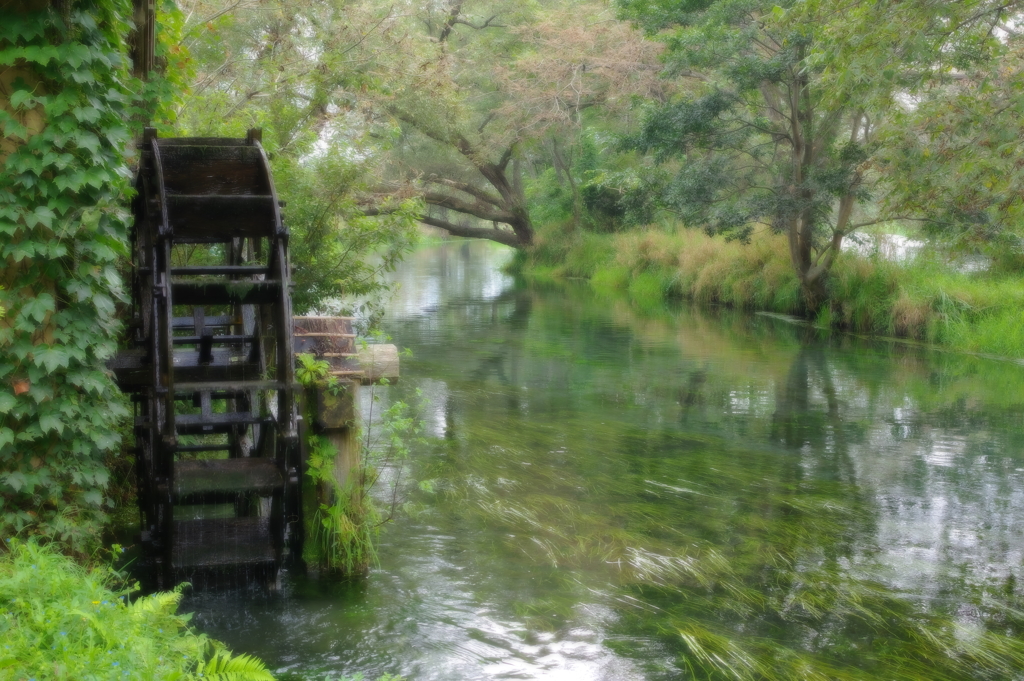 安曇野わさび田湧水群