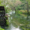 安曇野わさび田湧水群