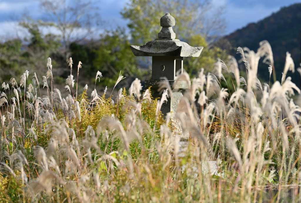 晩秋の灯篭２