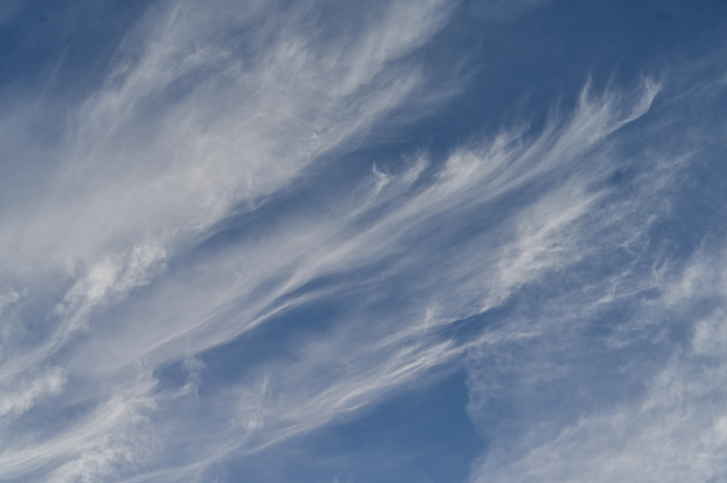 秋の雲　すじ雲