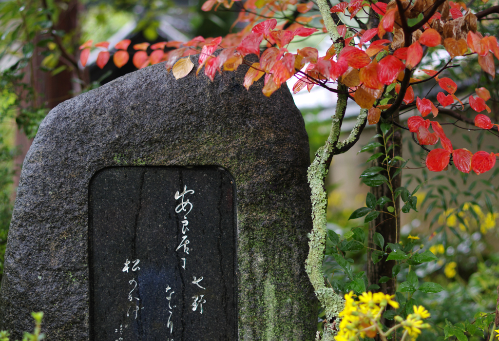 今宮神社　雨の紅葉