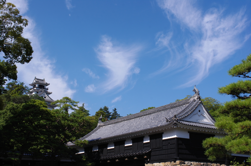 秋晴れの高知城