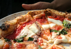 本場ナポリピザ